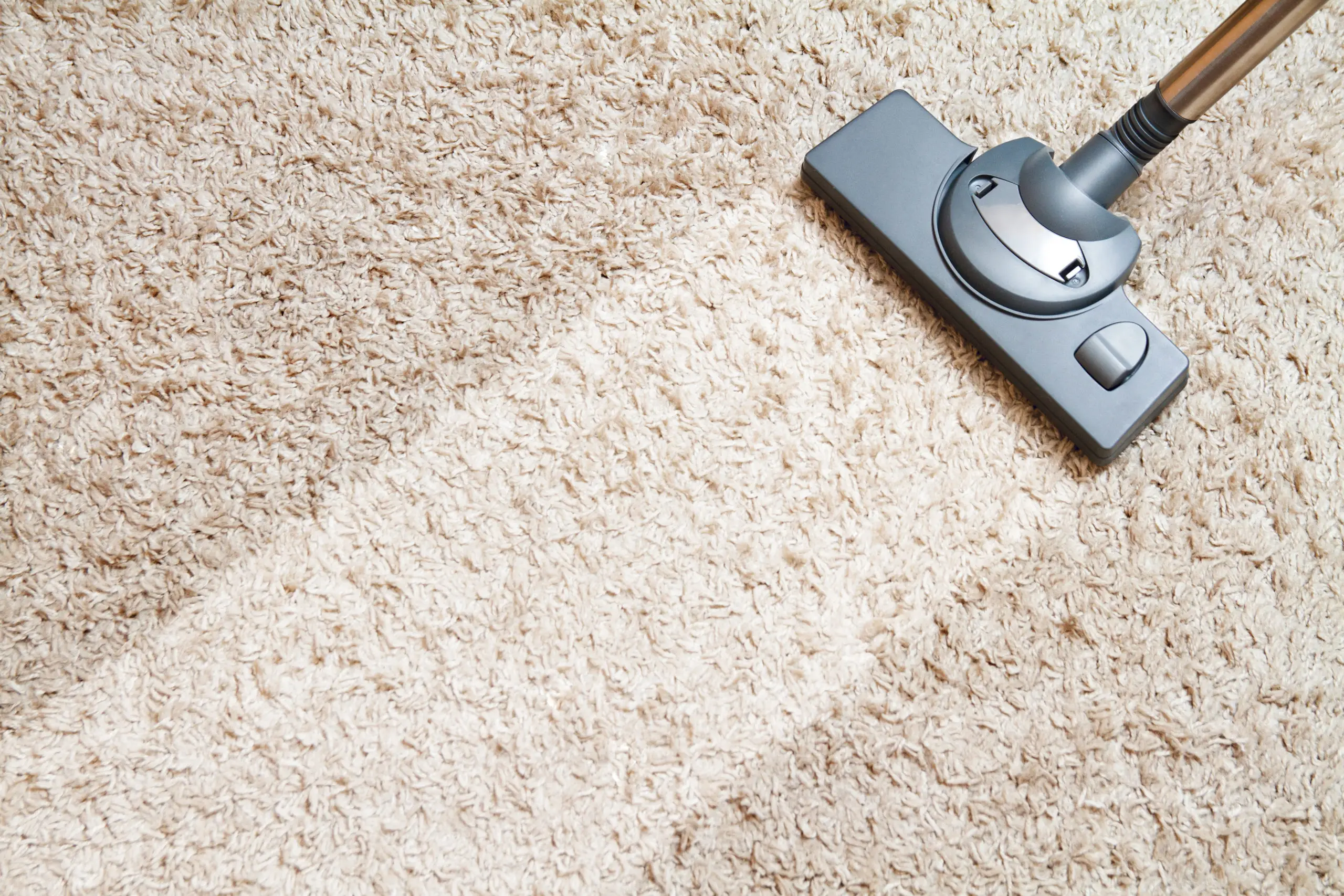 Professional carpet cleaning service in a New Jersey home
