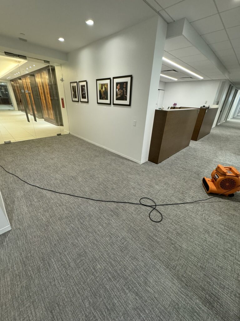 How to Clean Carpets in New Jersey Area